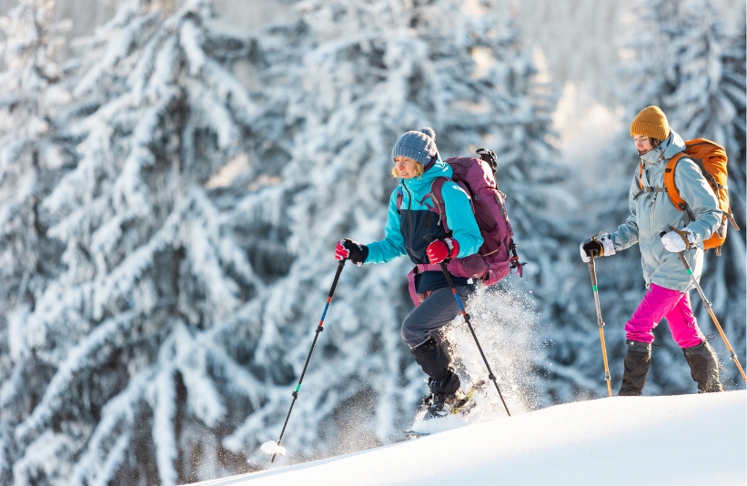 Two snowshoers trek through fresh powder.