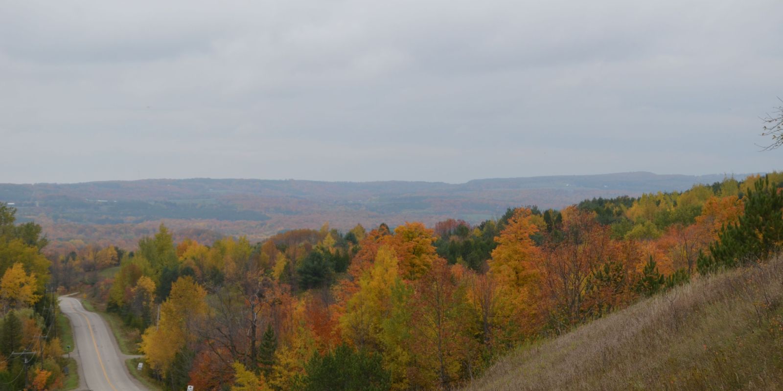 A paved country road runs through a hilly, tree-lined road.