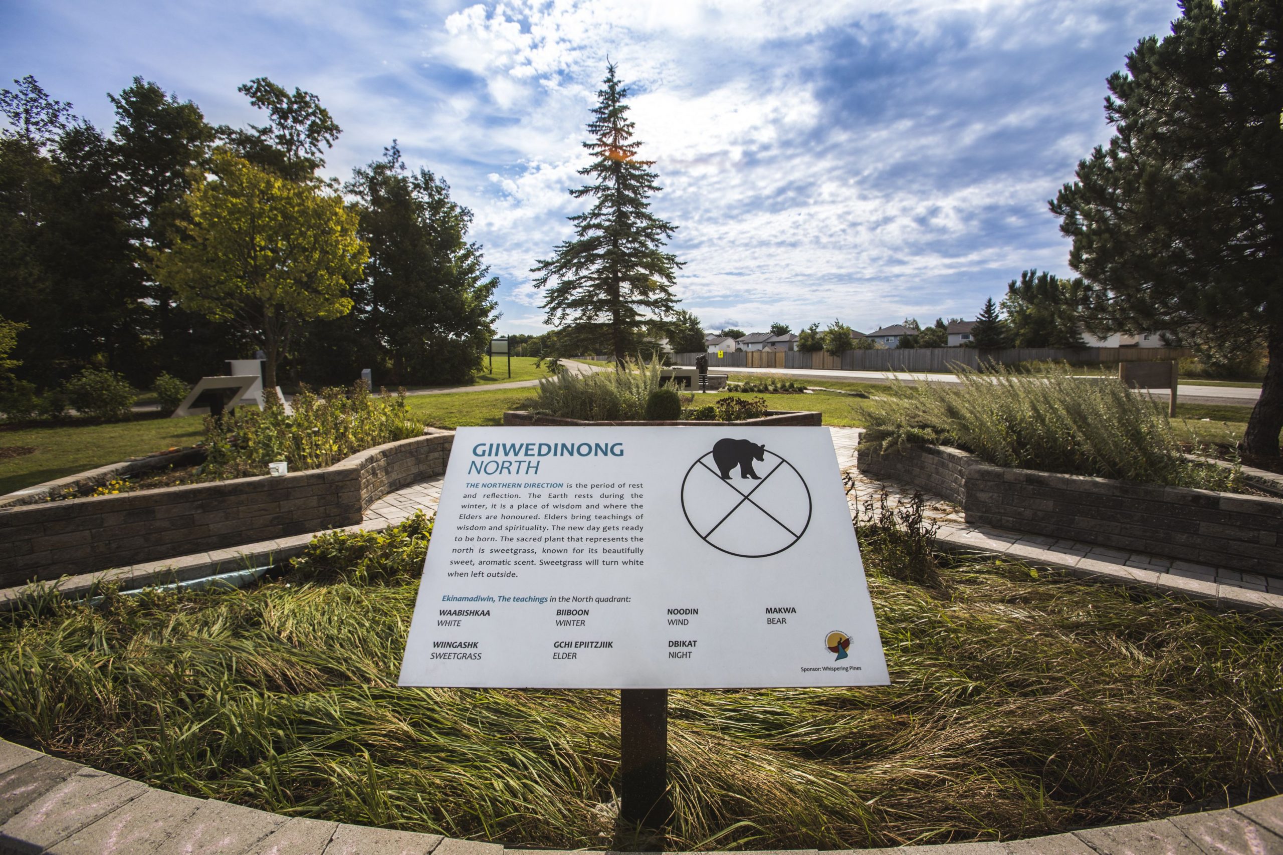 sign posted in front of garden and large evergreen tree